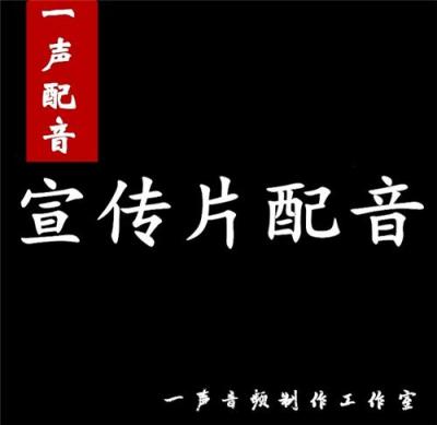 上海企业宣传片配音 上海专题片配音