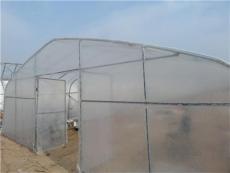 河南草莓温室大棚建设 育苗温室日光大棚