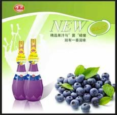 1.25L蓝莓乳酸菌厂家 恬润1.25L蓝莓乳酸菌