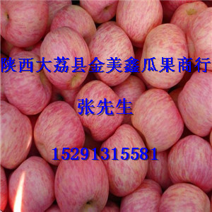 陜西紅富士蘋果價格