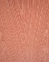 新西兰智阁板材-2016年10大免漆板板材