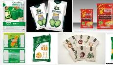 玉米种子包装 蔬菜的包装 国外种子包装设计