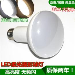 LED暖白双色摄影灯泡小型简易拍摄台摄影灯