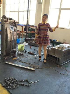 供应广汽三菱注射模具汽车模