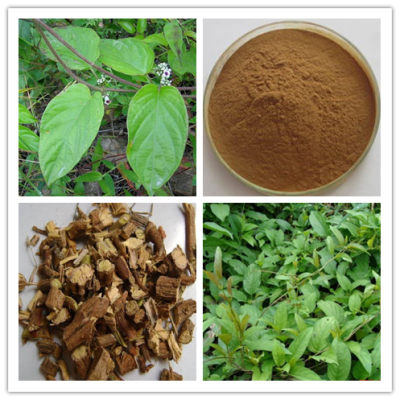 雞屎藤提取物 雞屎藤浸膏粉 雞矢藤提取物