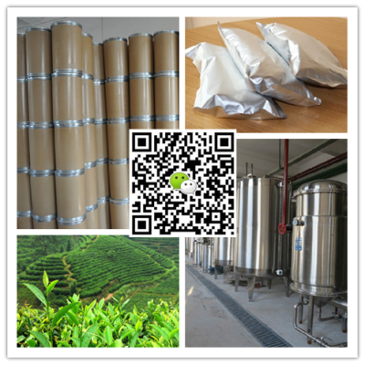 雞屎藤提取物 雞屎藤浸膏粉 雞矢藤提取物