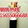 现货销售BPGVFP2电缆 安徽工厂直销