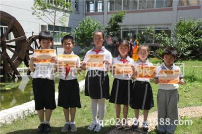 上海校服生产厂家专业定做中小学生夏季校服