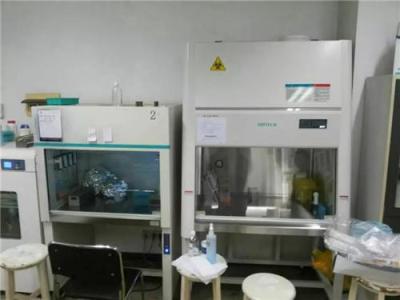 供应重庆实验室设备 酉阳 秀山生物安全柜