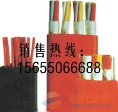 YFGB硅橡胶扁电缆优质供应商直销