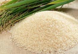 供应性价比最高的无公害大米 优质大米