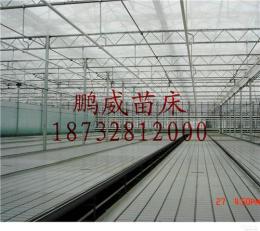 安平移动苗床温室移动苗床网片厂家苗床配件