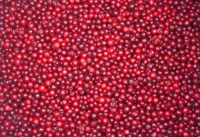 樂汀浆果乐汀冷冻蔓越莓冷冻水果速冻蔓越莓