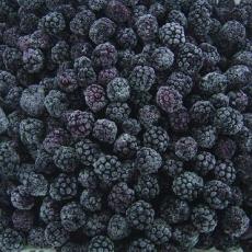 乐汀浆果乐汀冷冻黑莓冷冻水果速冻黑莓