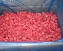 樂汀浆果乐汀冷冻红树莓冷冻水果速冻红树莓